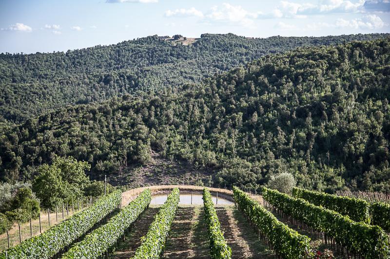 Casa Guaitoli Βίλα Bagni Di Petriolo Εξωτερικό φωτογραφία