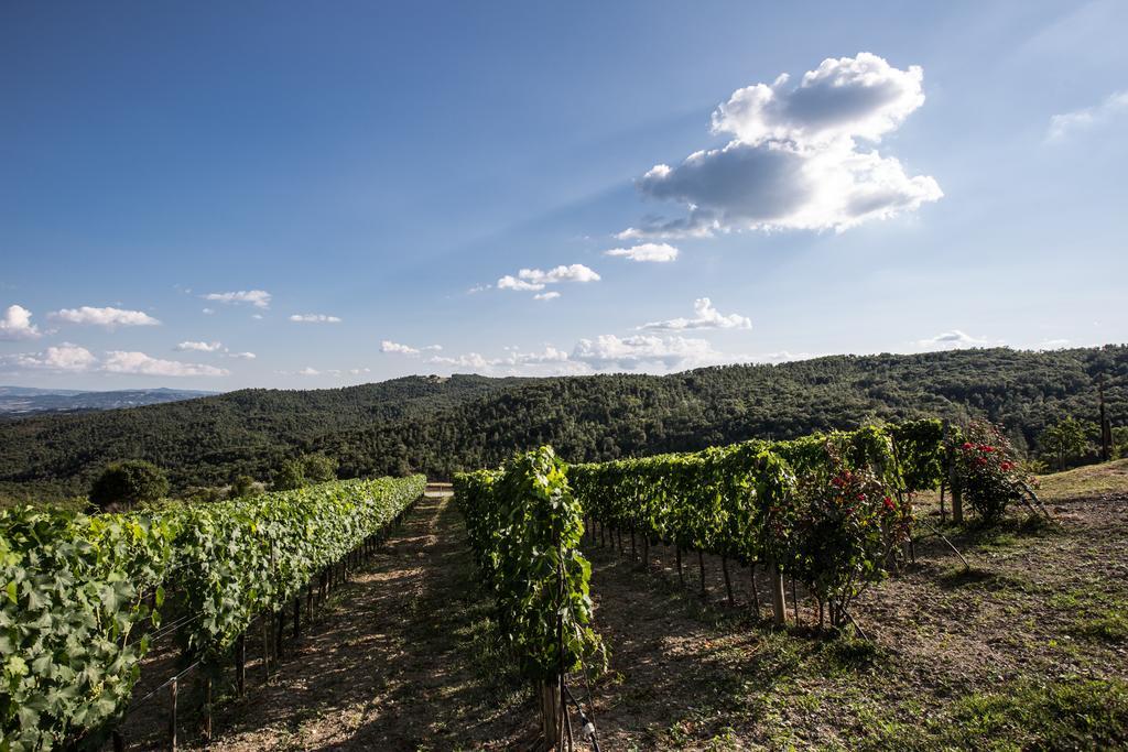 Casa Guaitoli Βίλα Bagni Di Petriolo Εξωτερικό φωτογραφία