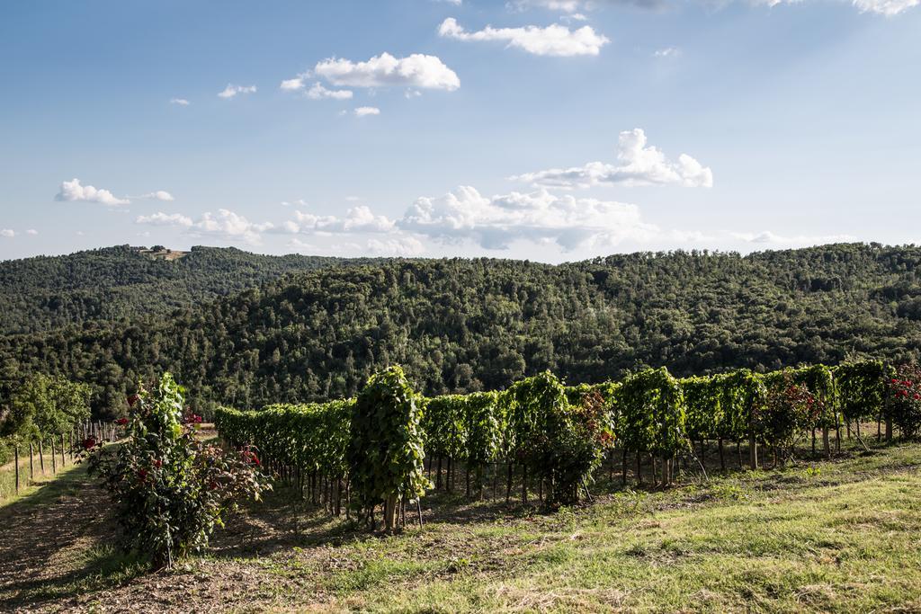 Casa Guaitoli Βίλα Bagni Di Petriolo Εξωτερικό φωτογραφία