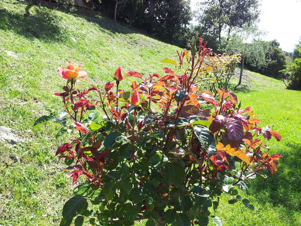 Casa Guaitoli Βίλα Bagni Di Petriolo Εξωτερικό φωτογραφία